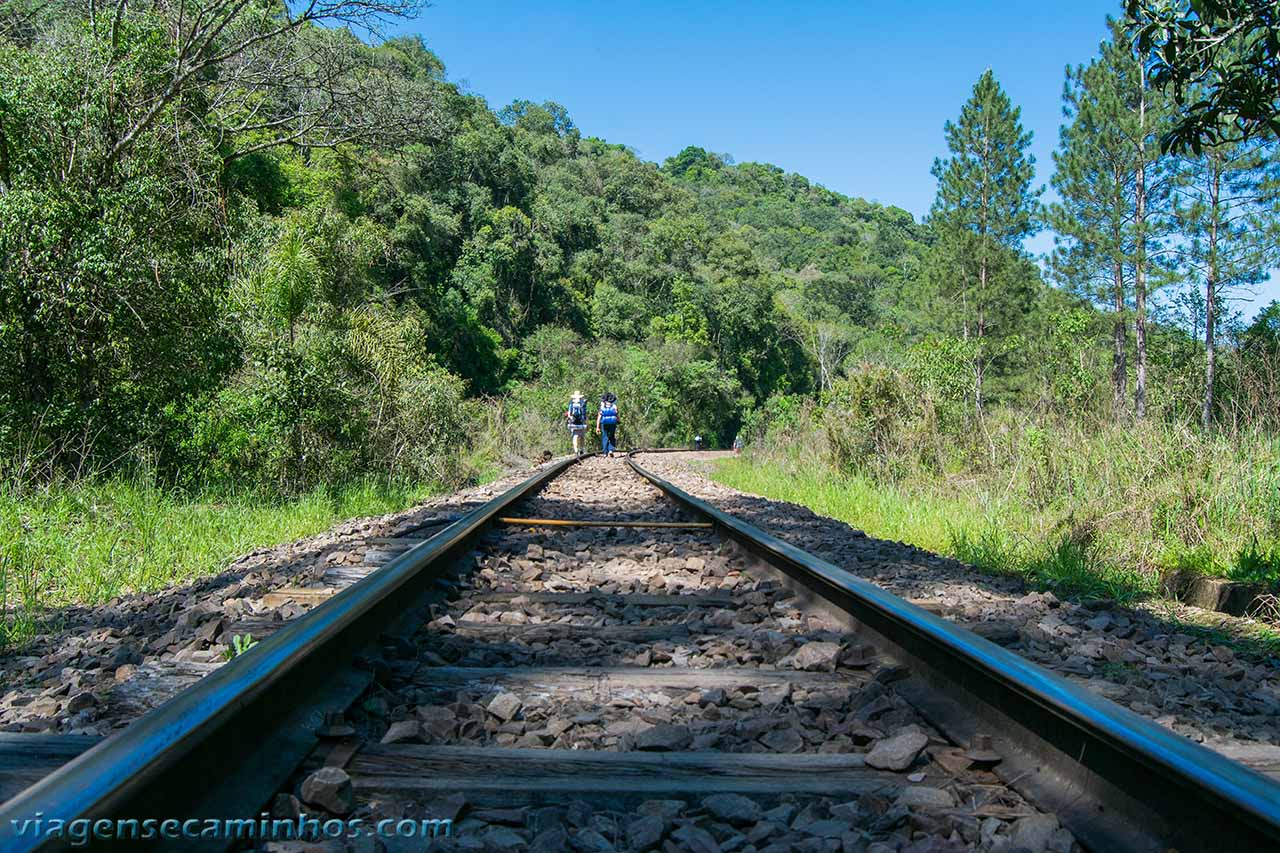 Ferrovia do trigo