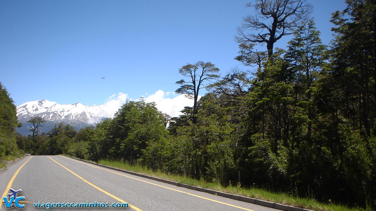 Passo Internacional Samuré