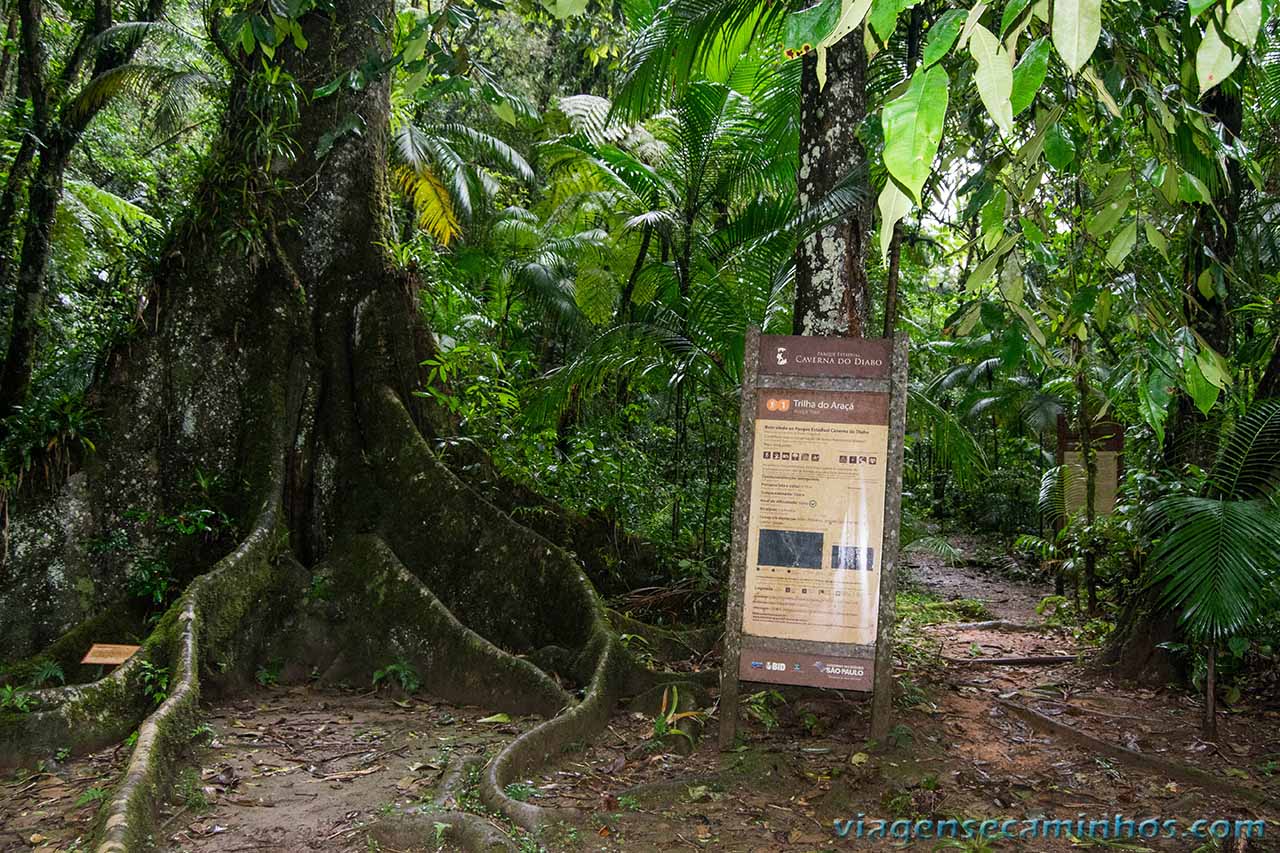 Trilha do Araçá