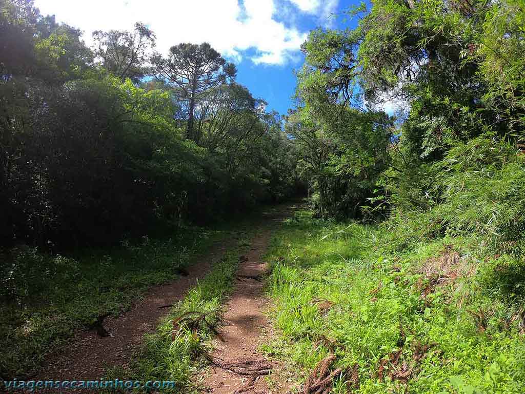Estrada no Parque Estadual de Ibitiriá
