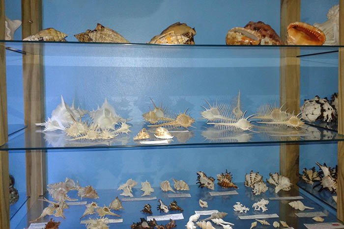 Museu das Conchas