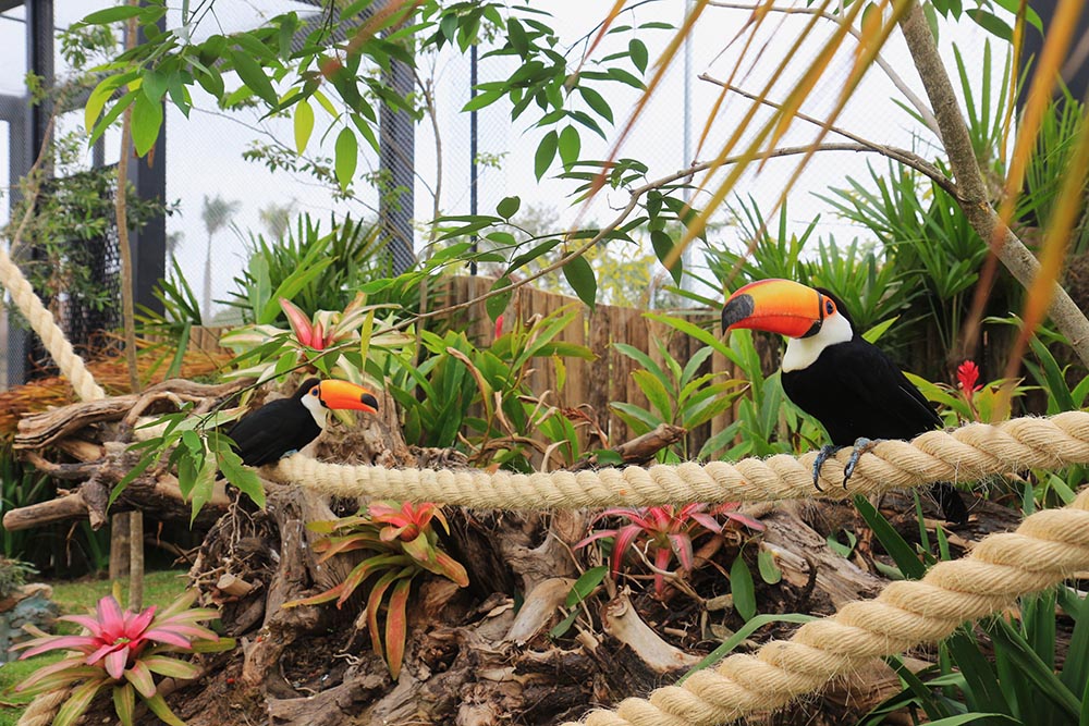 Parque Três Pescadores - Aparecida