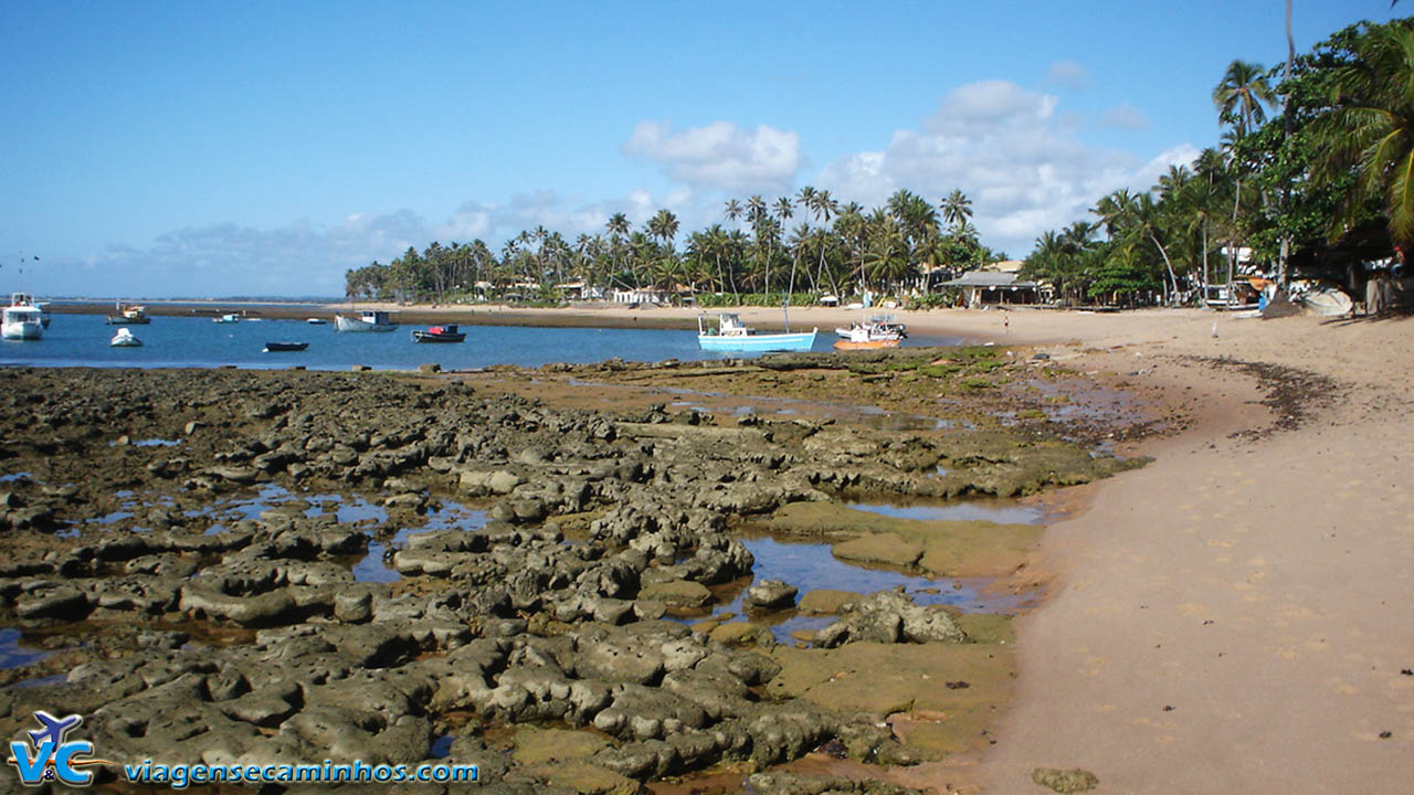 Praia do Forte - Bahia