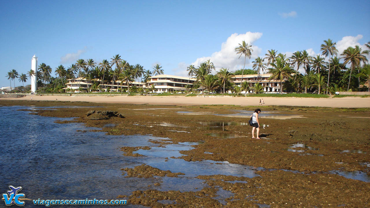 Praia do Forte na maré baixa