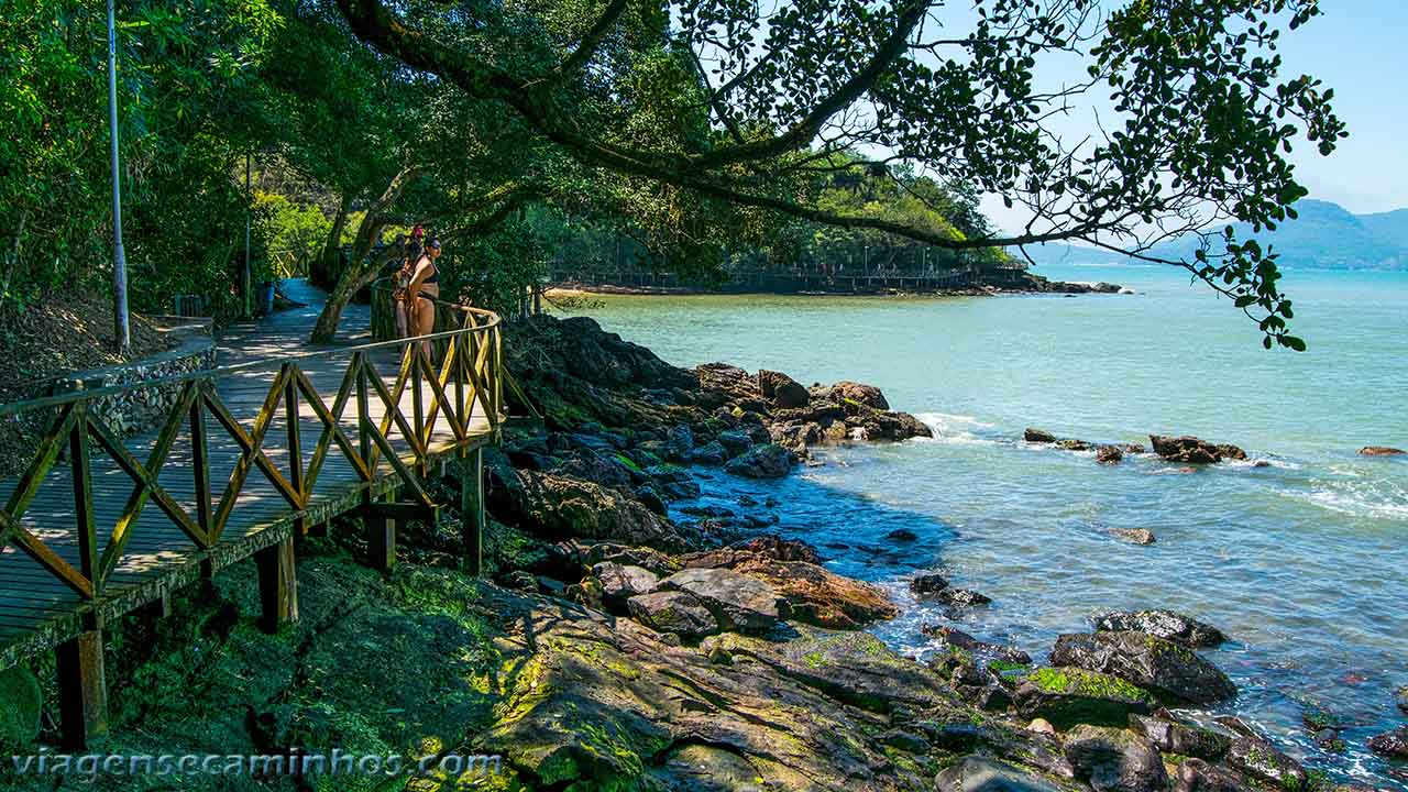 Balneário Camboriú SC - Trilha do Pontal Norte