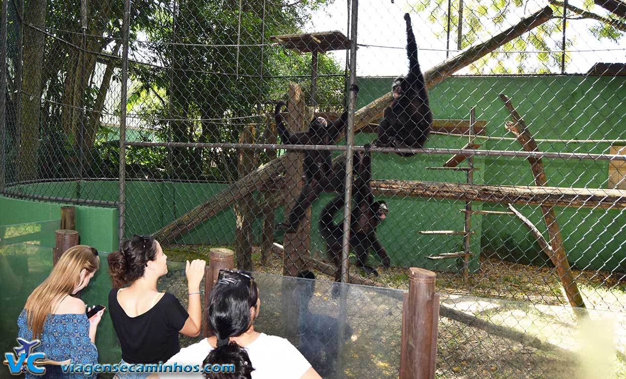 Zoo de Balneário Camboriú