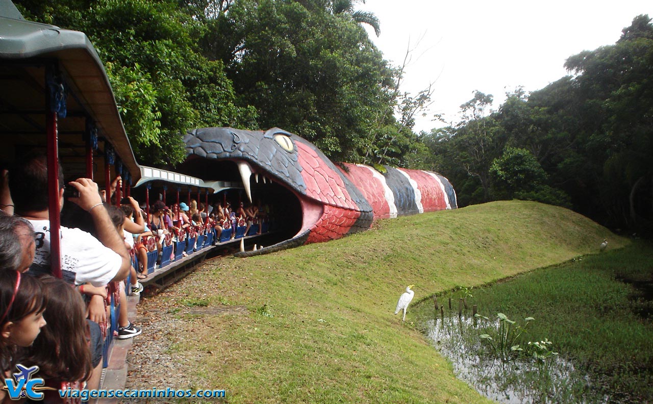 Os brinquedos e as áreas temáticas do parque Beto Carrero World