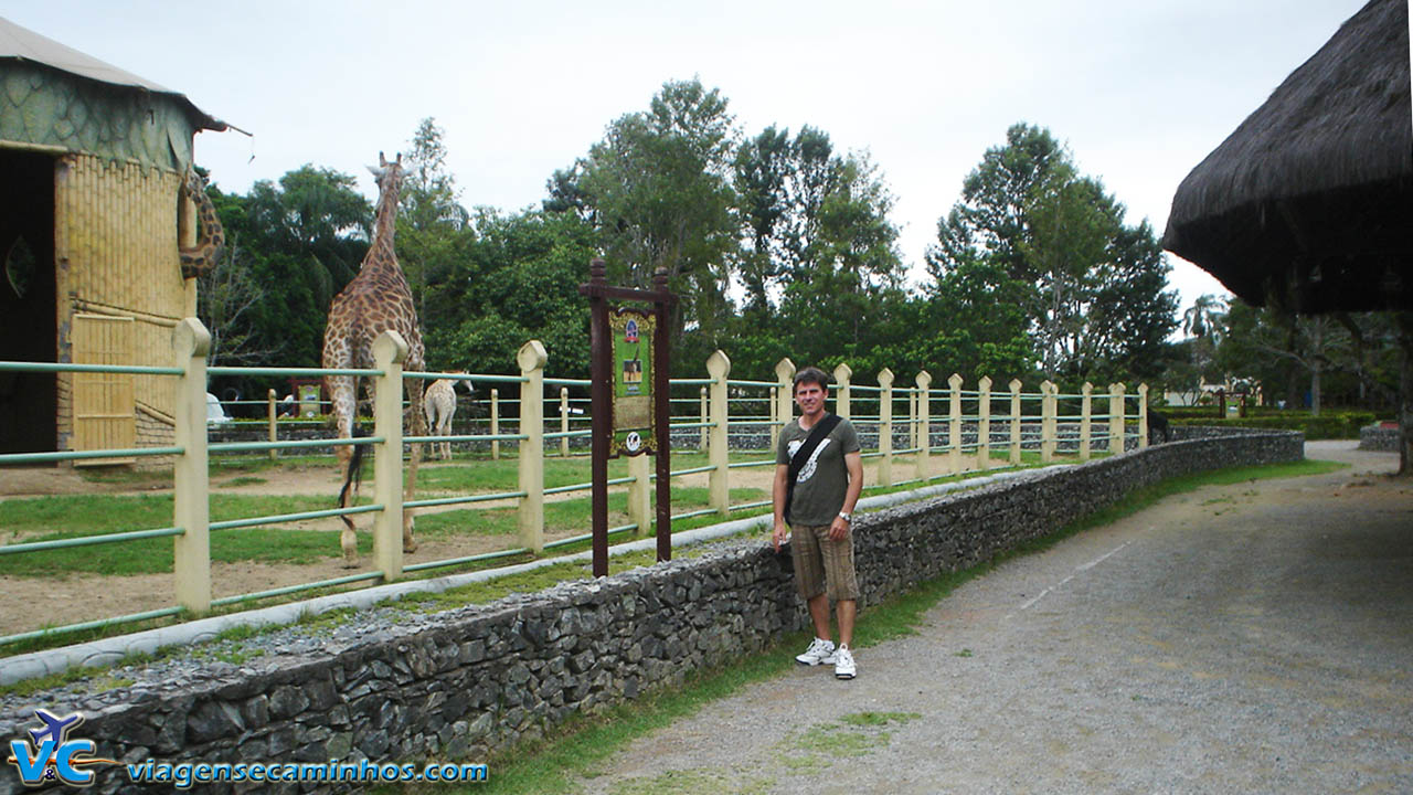 Beto Carrero World - Maior parque temático da América Latina - Viagens e  Caminhos