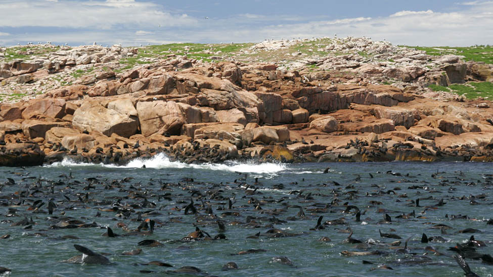 Punta Del Este - Ilha dos Lobos