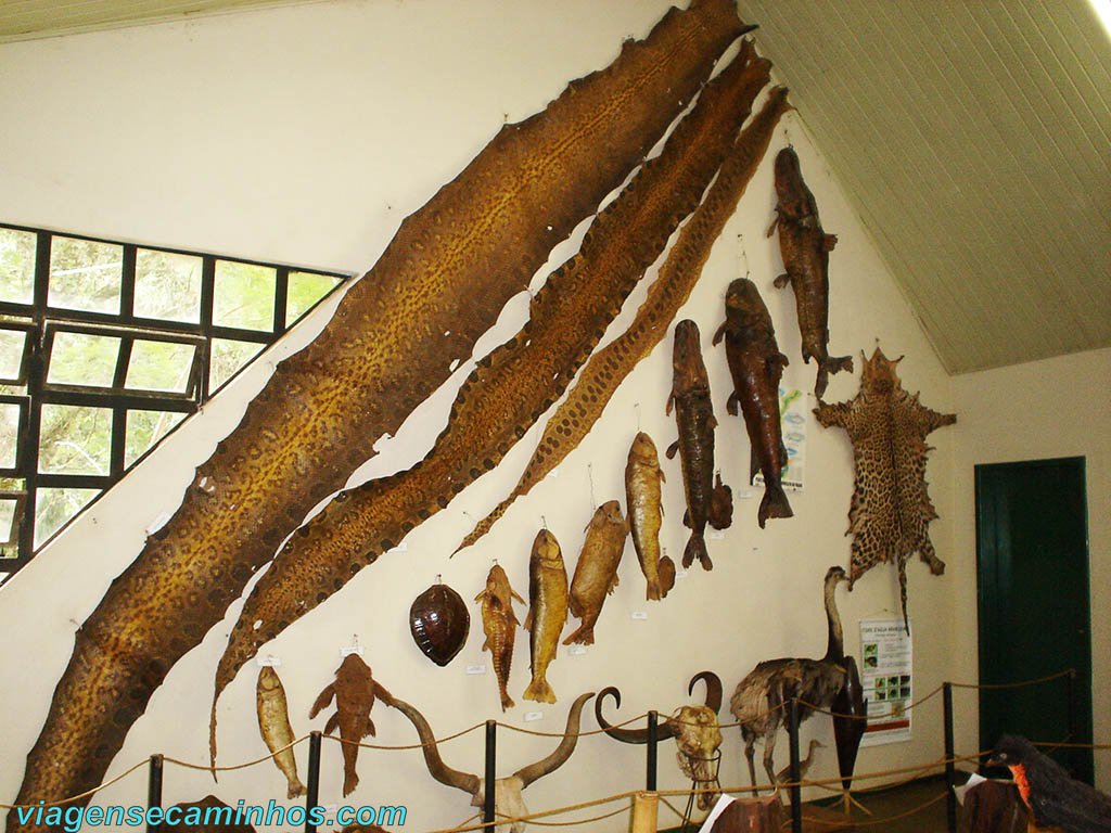 Museu histórico natural de Cascavel