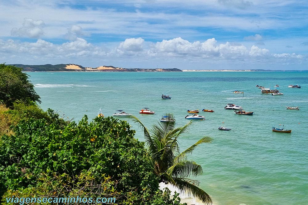 Baía dos Golfinhos - Pipa