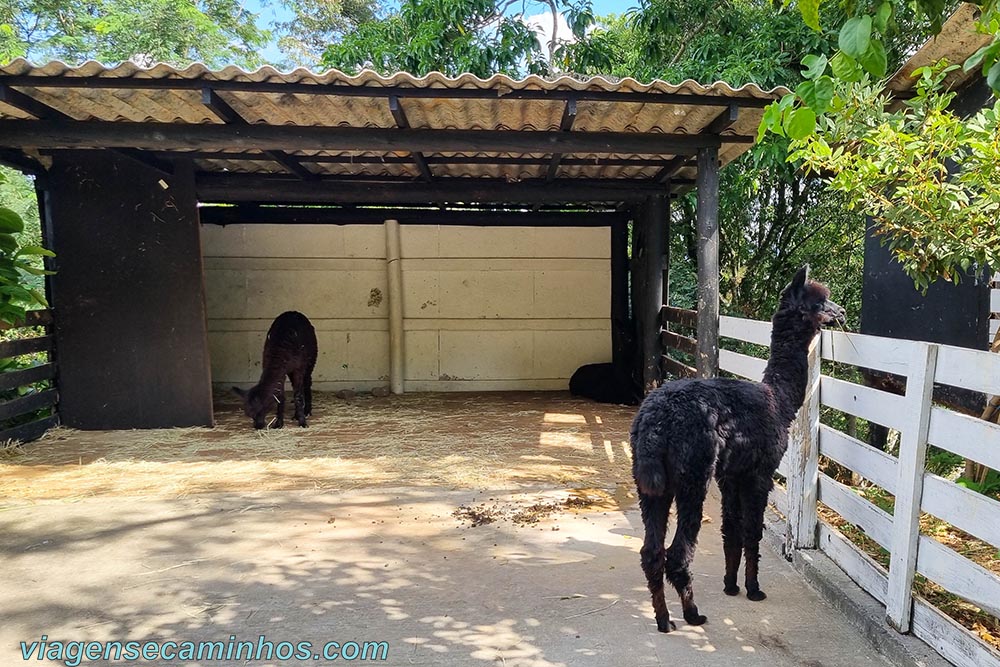 Ecoparque de Itá