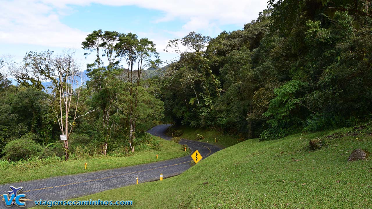 BR-277 tem fila de 4 Km no sentido Litoral e 8 Km para Curitiba - RIC Mais