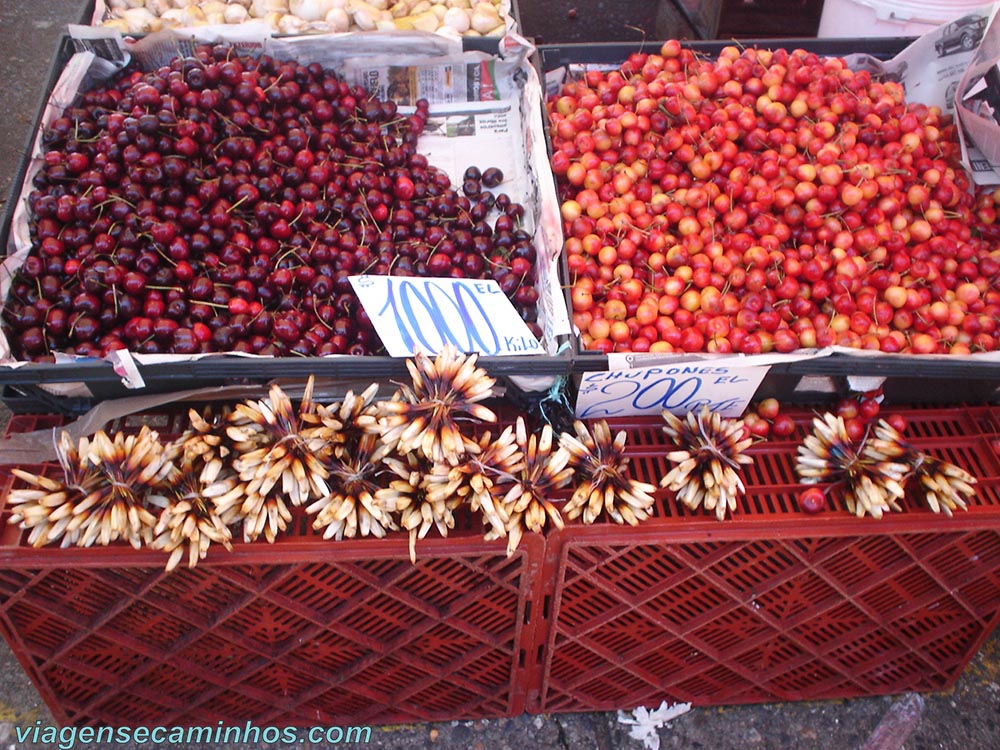 Feira Fluvial de Valdivia