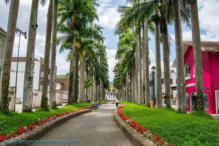 O que fazer em Joinville Pontos turísticos e dicas Viagens e Caminhos O que fazer em Joinville Pontos turísticos e dicas Viagens e Caminhos