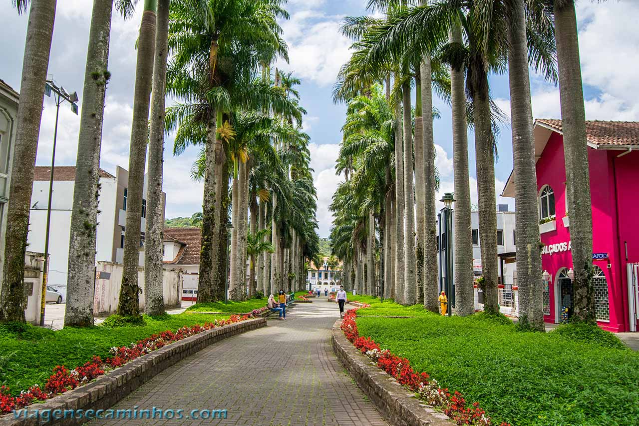 Rua das Palmeiras - Joinville
