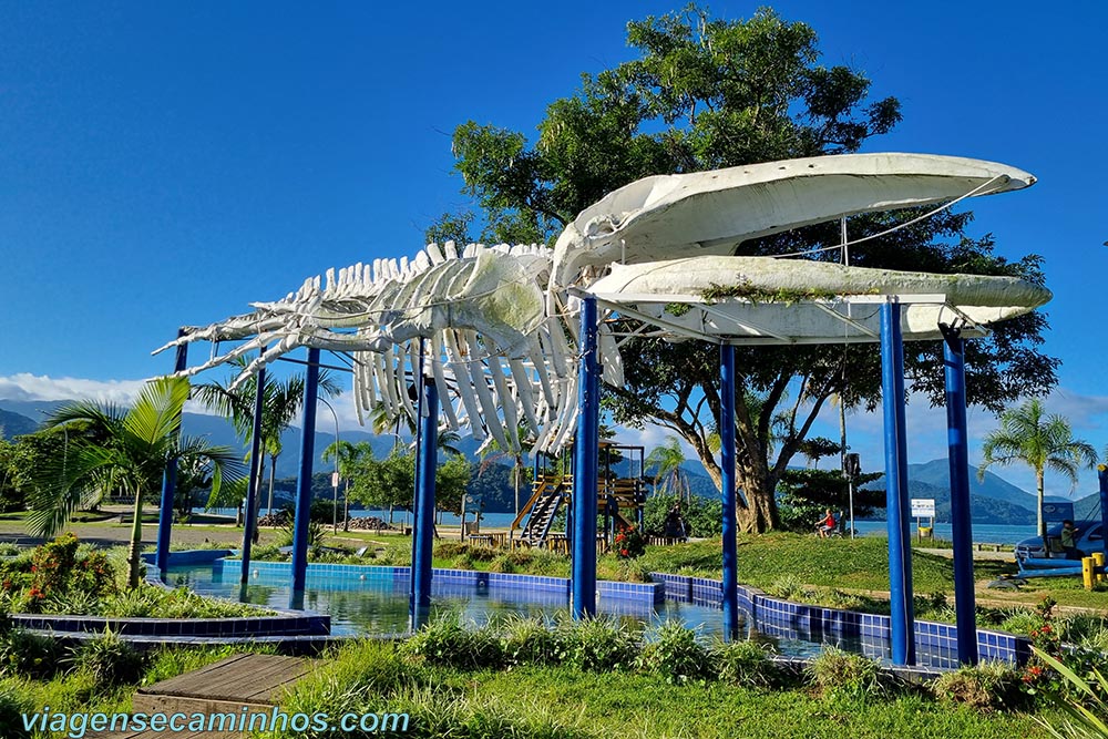 Praça da Baleia - Ubatuba