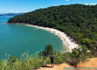 40 praias de Ubatuba: o que fazer e dicas para visitar em 2026 Praia da Figueira - Ubatuba