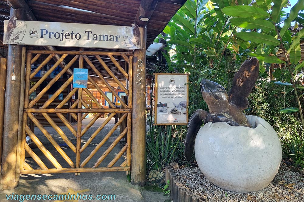 Projeto Tamar de Ubatuba