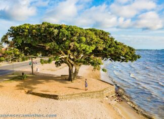 O que fazer em São Lourenço do Sul