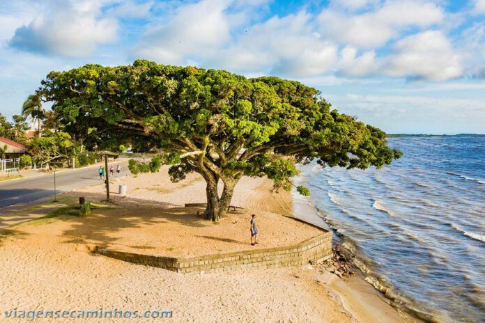 O que fazer em São Lourenço do Sul