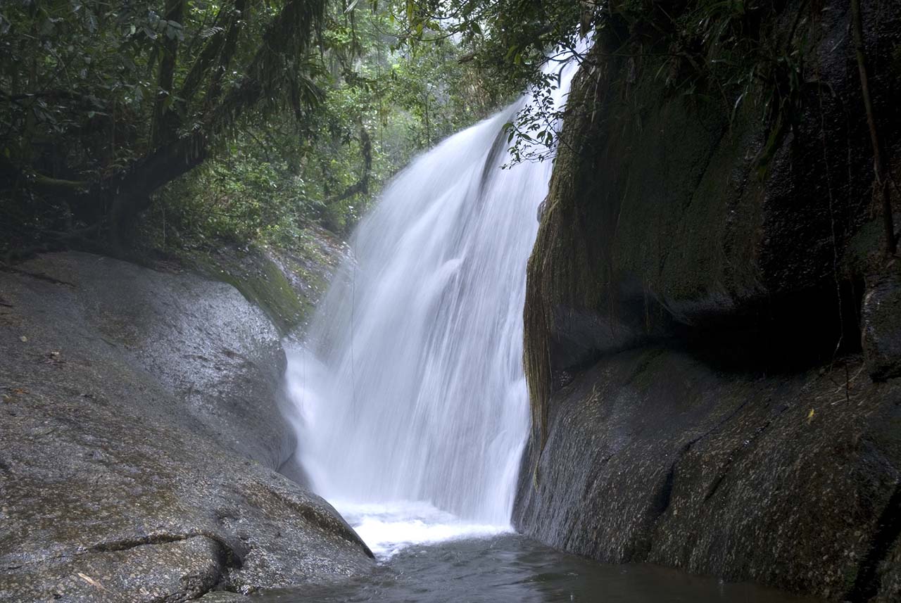 Trilha cachoeira Água Branca - Ilhabela