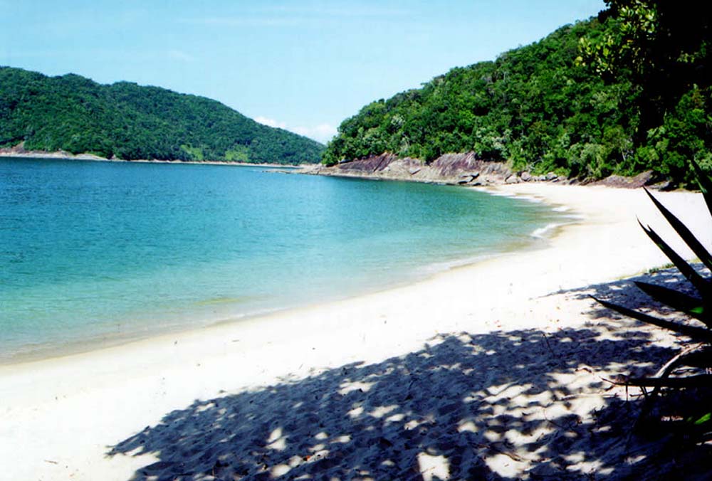 Praia da Figueira - Ilhabela