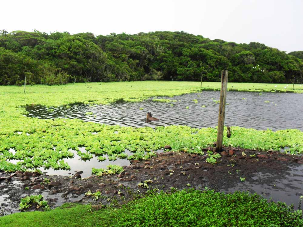 Parque Tupancy - Balneário Atlântico - Arroio do Sal