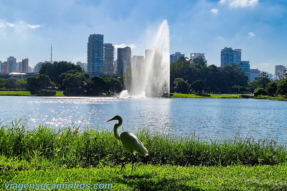 São Paulo - Parque Ibirapuera
