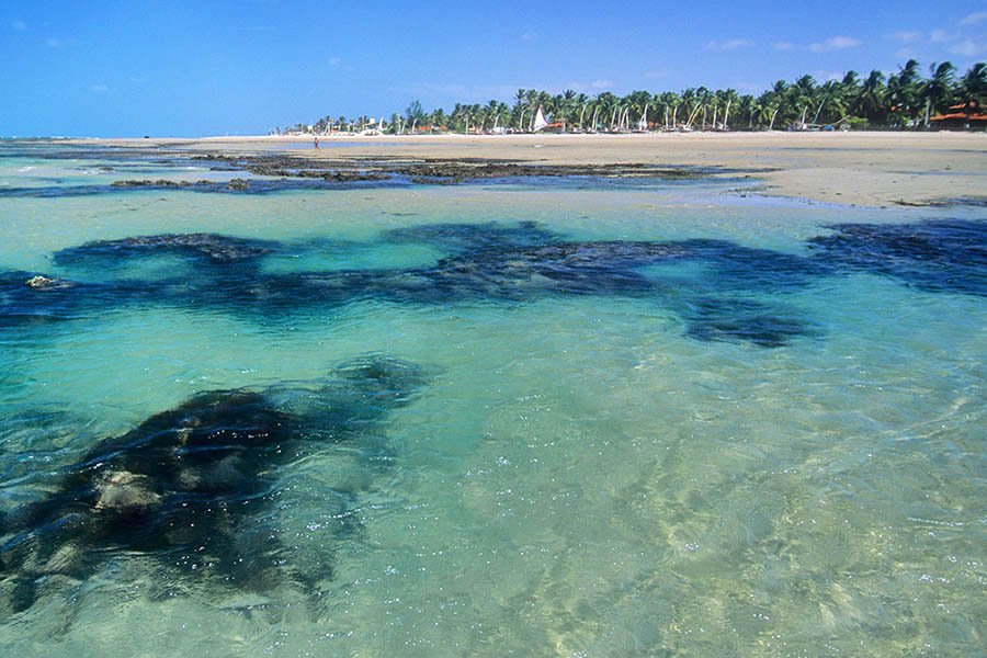 Praia Flecheiras - Ceará