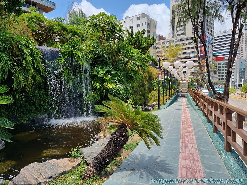 O que fazer em Fortaleza - Jardim Japonês