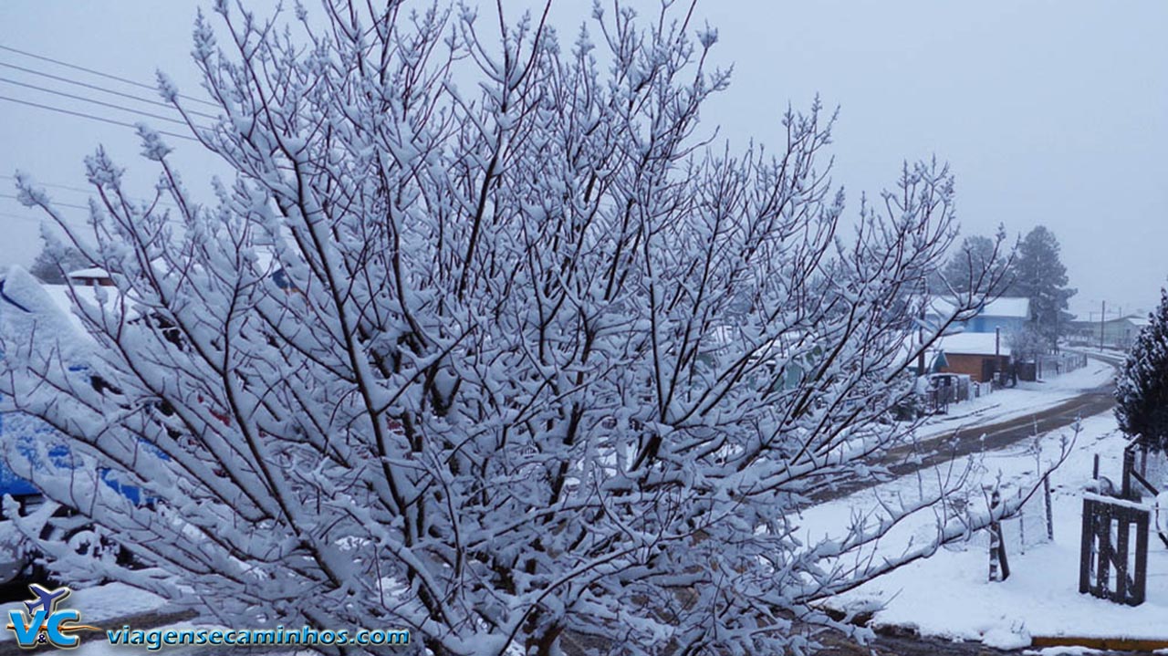 Neve no Brasil