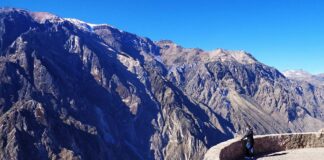 Cânion do Colca - Peru