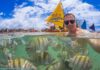 Piscinas naturais em Porto de Galinhas