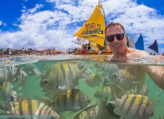 Piscinas naturais em Porto de Galinhas