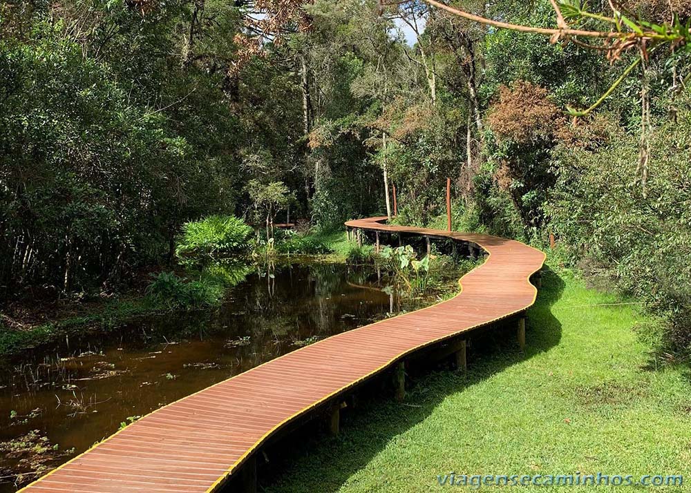 O que fazer em Campos do Jordão - Bosque do Silêncio