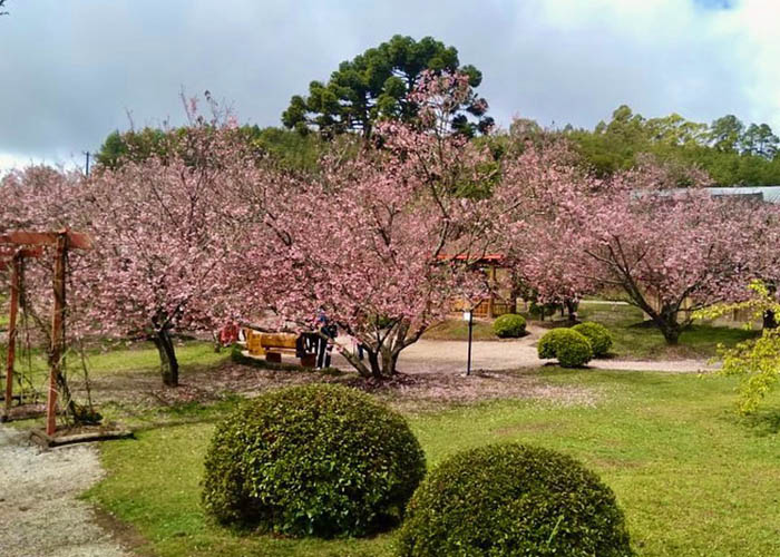 O que fazer em Campos do Jordão - Parque das Cerejeiras