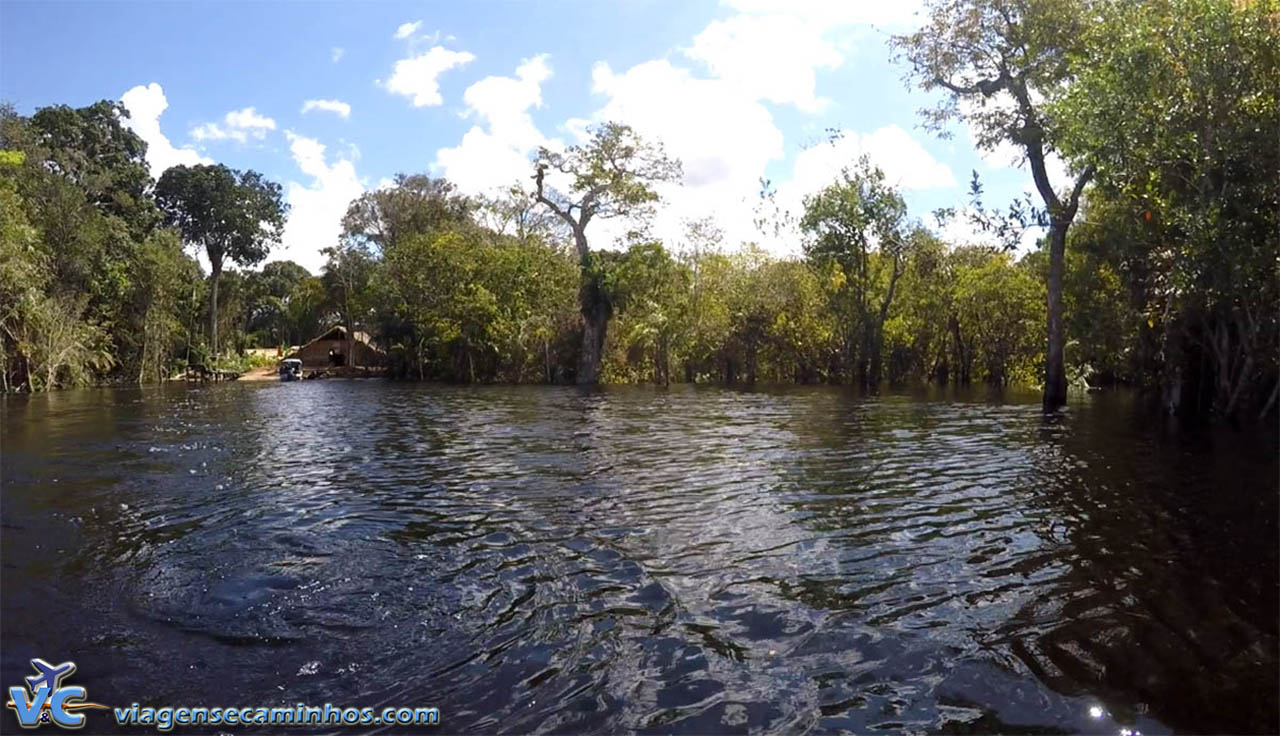 Igarapé do Rio Negro - Amazonas