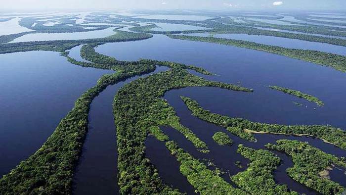 Passeio de avião em Manaus