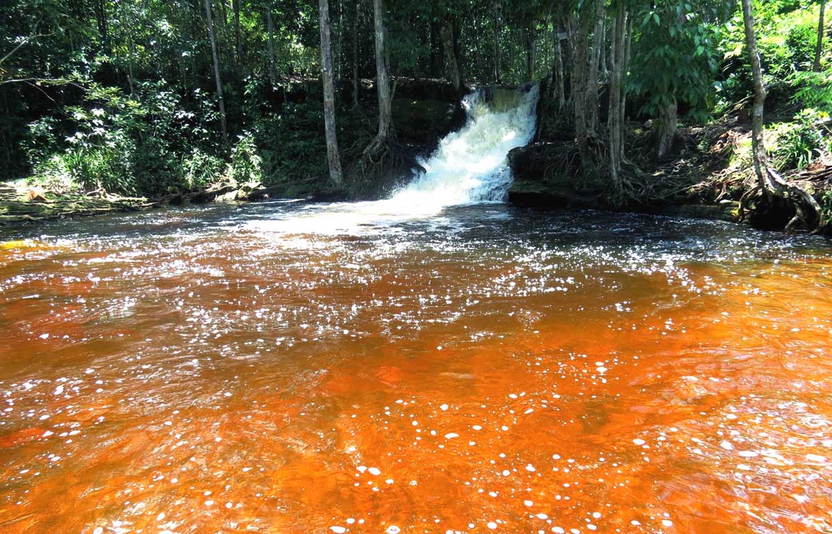 Cachoeira das Orquídeas - Presidente Figueiredo