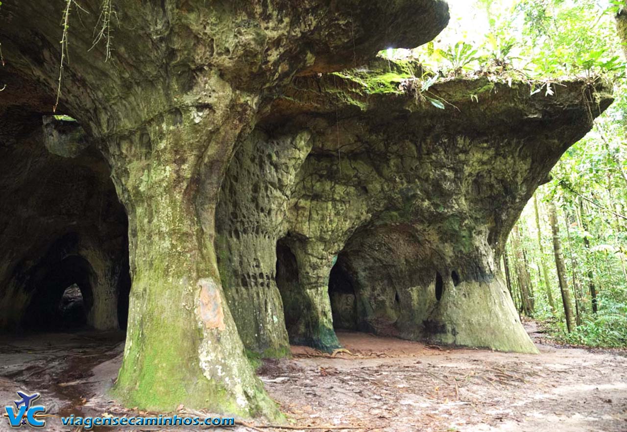 Gruta Palácio Galo da Serra - Presidente Figueiredo - Amazonas