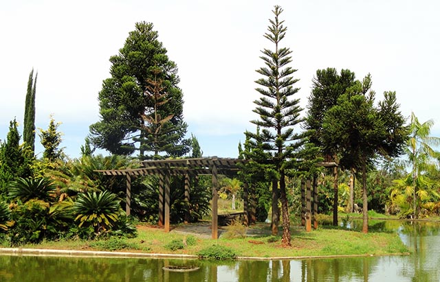 Jardim Botânico de Brasília