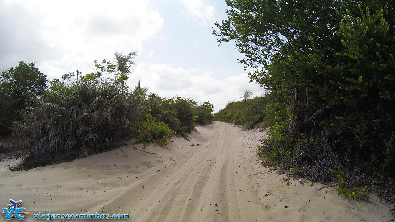 Trilhas de areia da região de Barreirinhas, no Maranhão