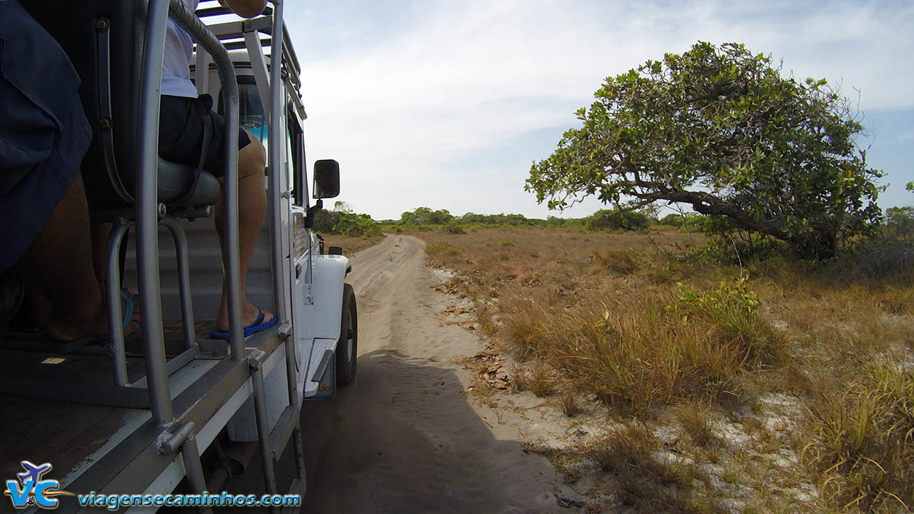 Transporte de Toyota 4x4 pela trilhas de areia da região