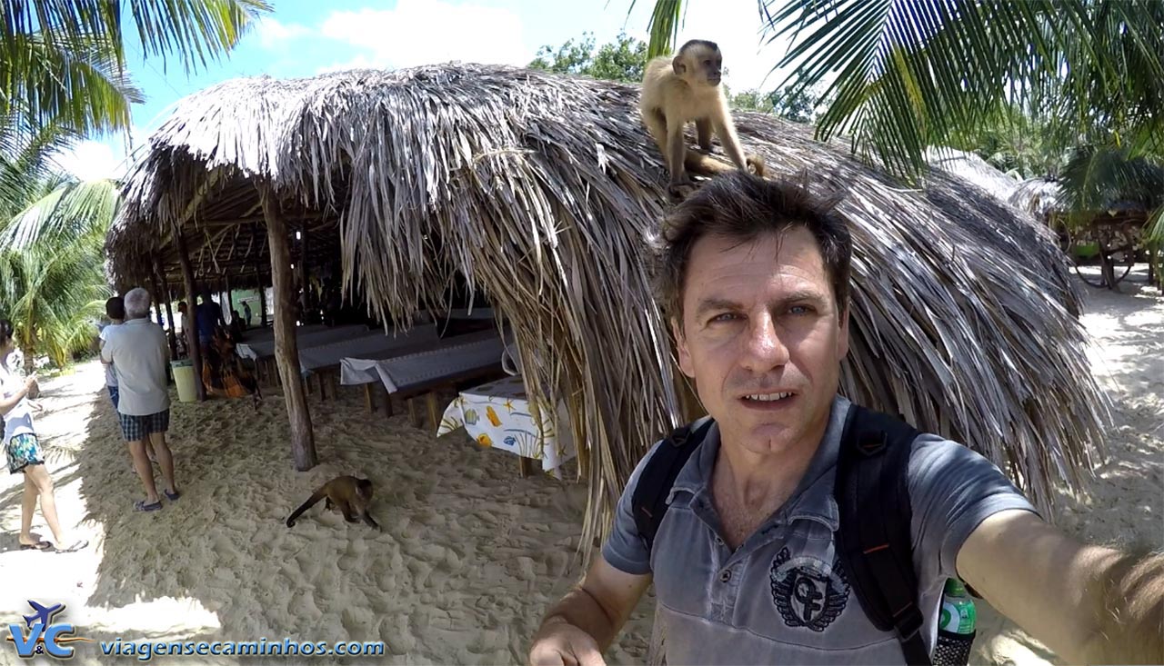 Tenda dos macacos, em Vassouras