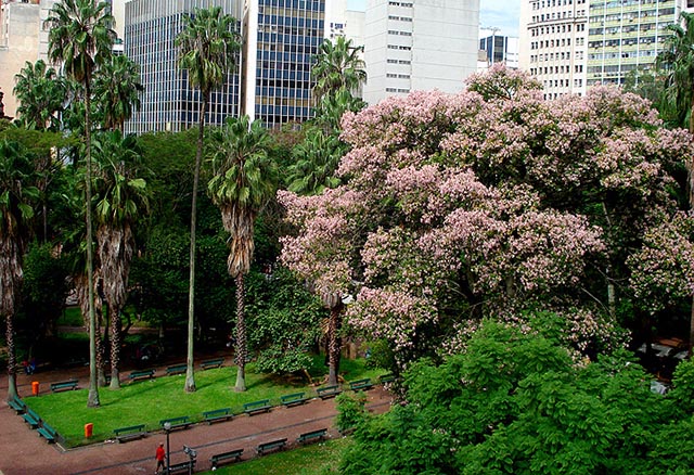  Praça da Alfândega - Porto Alegre RS