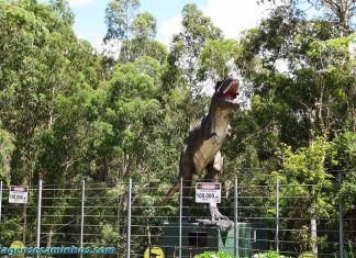 Vale dos Dinossauros - Canela