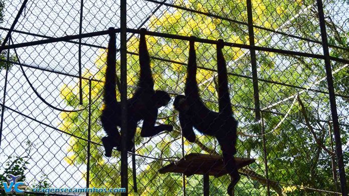 Zoo Balneário Camboriú