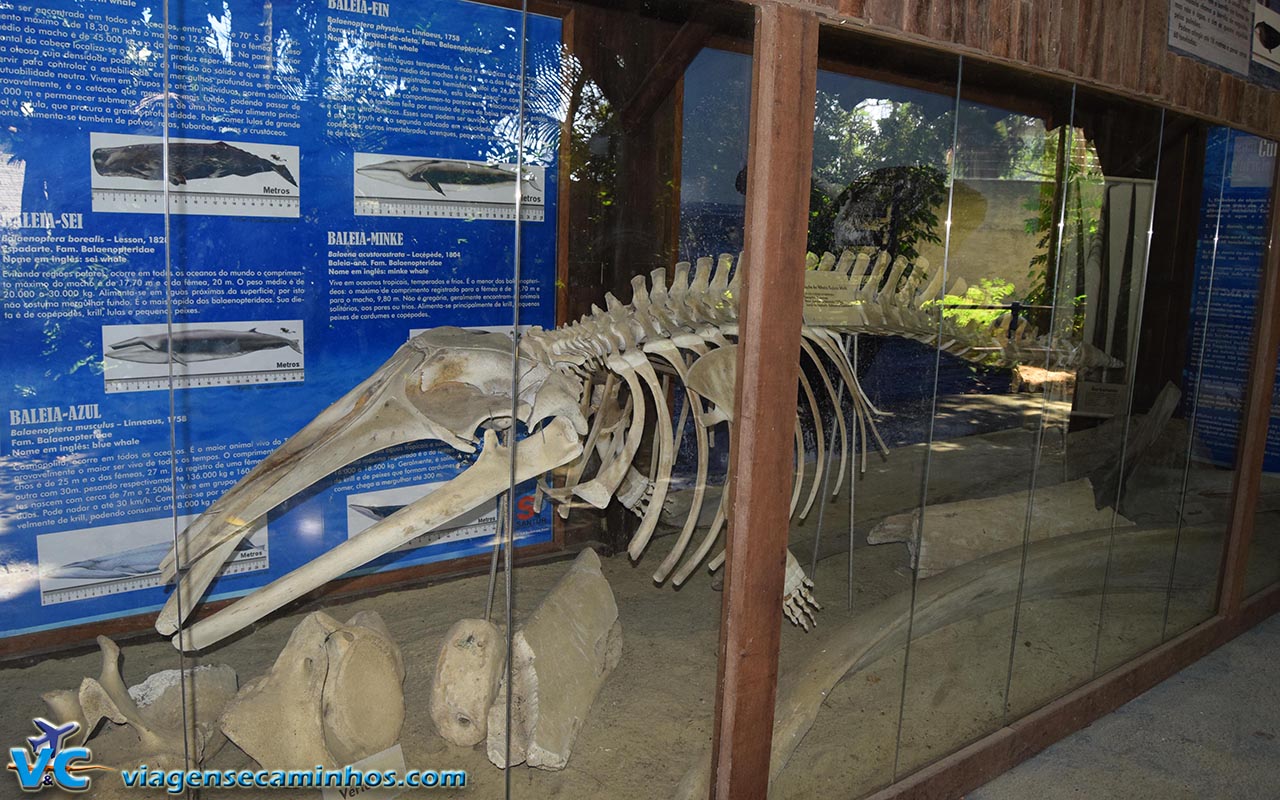 Museu arqueológico do Zoo Balneário Camboriú