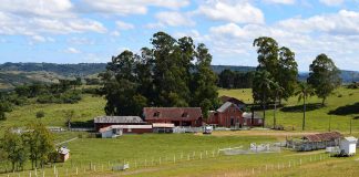 Roteiro por Criúva e Mulada - Fazenda Bertussi